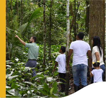 An employee is accompanied by other people along a trail in a place with a lot of trees.