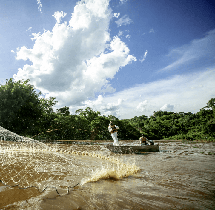 Em um rio, cercado por densa vegetação, dois homens de colete salva-vidas estão dentro de um pequeno barco. Um dos homens está de pé e lança uma rede sob a água.