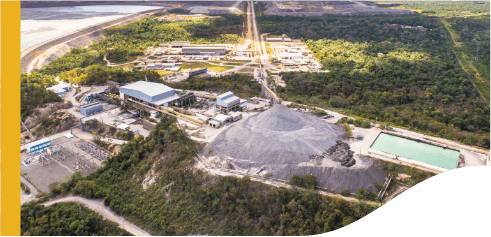 Operating area surrounded by vegetation.