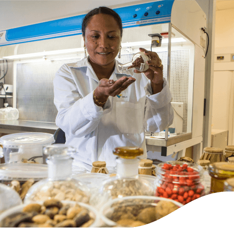 A researcher, wearing a lab coat, handles a glass container, pouring seeds into her hand. In the picture, there are other pots with seeds.