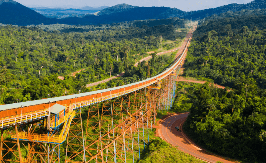 Area of vast vegetation with an iron structure, similar to a rail.