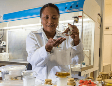 A researcher, wearing a lab coat, handles a glass container, pouring seeds into her hand. In the picture, there are other pots with seeds.