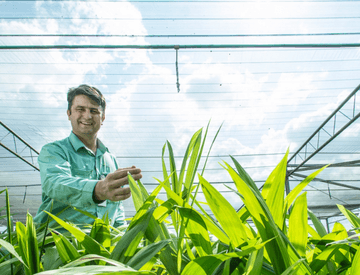 Vale employee inside a greenhouse with several plants. He is wearing a green uniform and smiles.