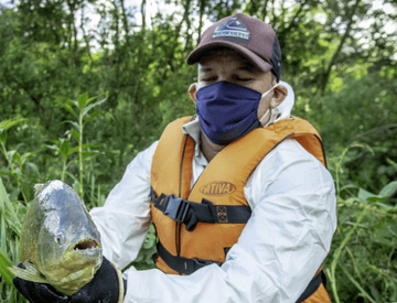 Em uma área de vegetação, um homem de boné, máscara facial, colete e luvas, segura um peixe.