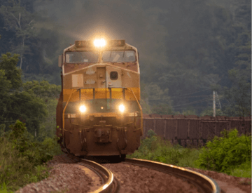 Vale train seen from the front, while traveling with the lights on. The surrounding environment is composed of vegetation.