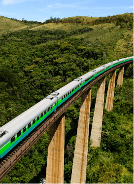 O trem Vale segue por uma ferrovia elevada, em meio a vegetação.