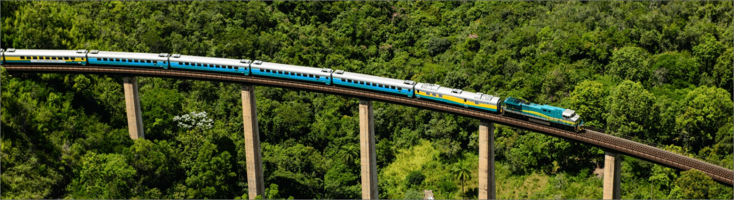 Vale Train runs on an elevated railroad. All around, it is possible to see mountainous landscape full of vegetation.